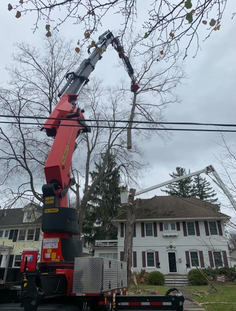 Highpoint Tree Service crane reaching over house